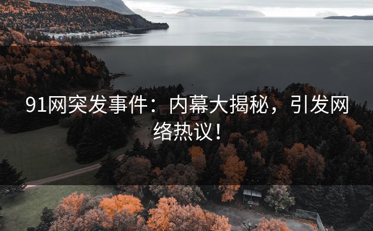 91网突发事件：内幕大揭秘，引发网络热议！