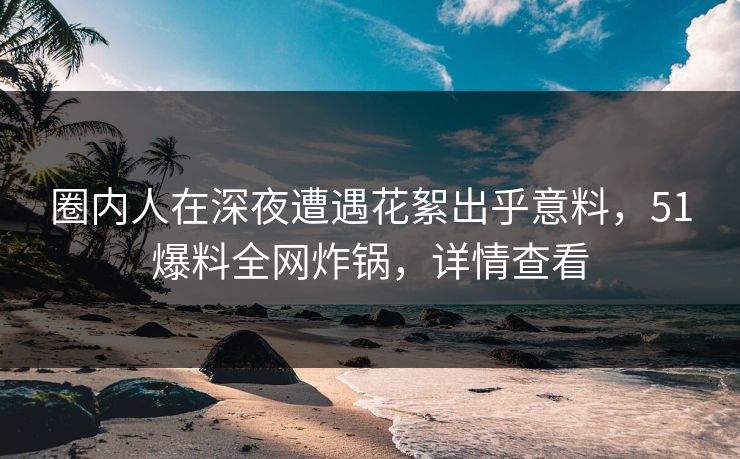 圈内人在深夜遭遇花絮出乎意料，51爆料全网炸锅，详情查看